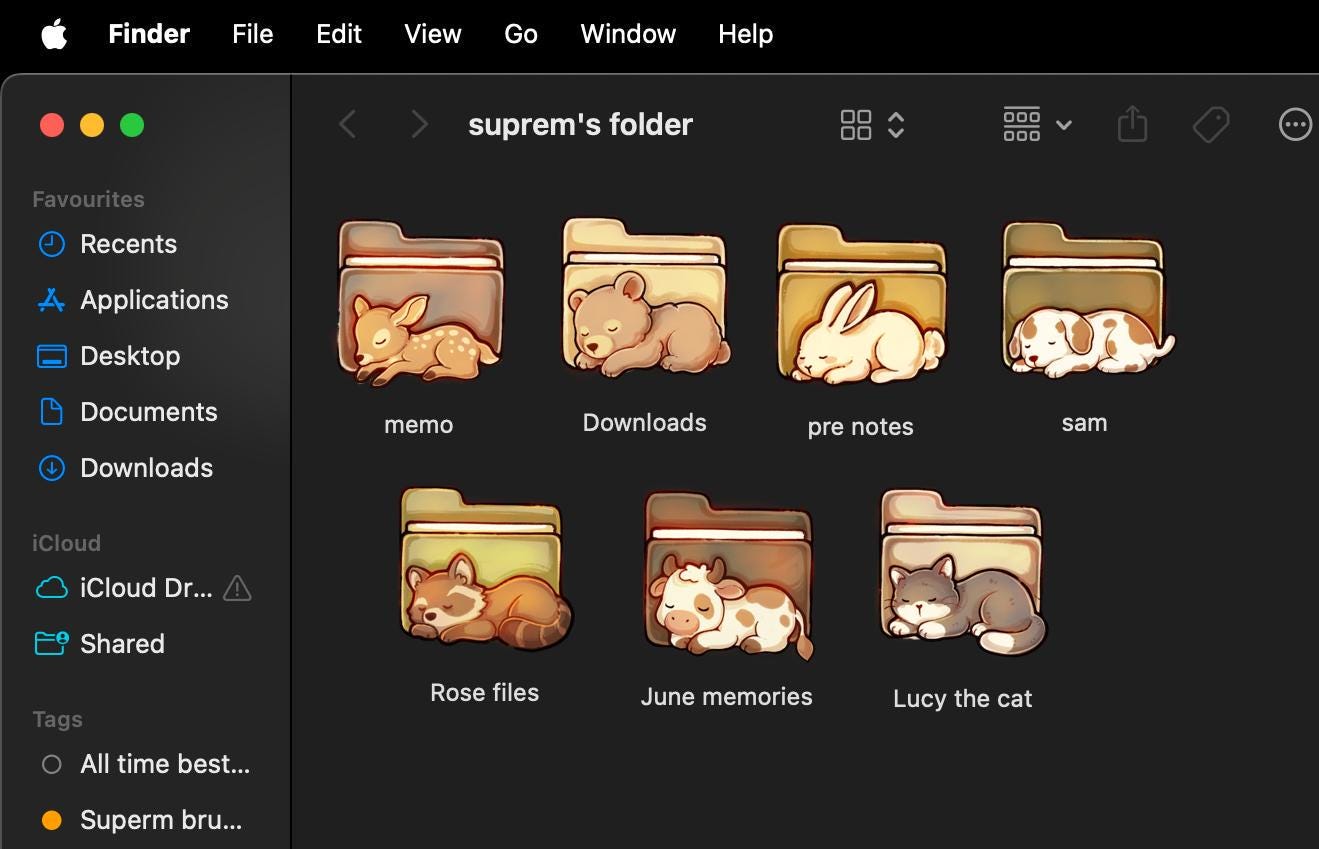 Sleepy Animal Desktop Folder Icon Set  for Mac & PC
